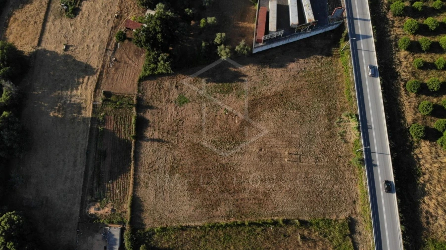 Terreno Agricola ou Rústico para Venda em Alcobertas Foto 4