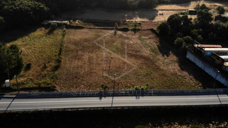 Terreno Agricola ou Rústico para Venda em Alcobertas Foto 2