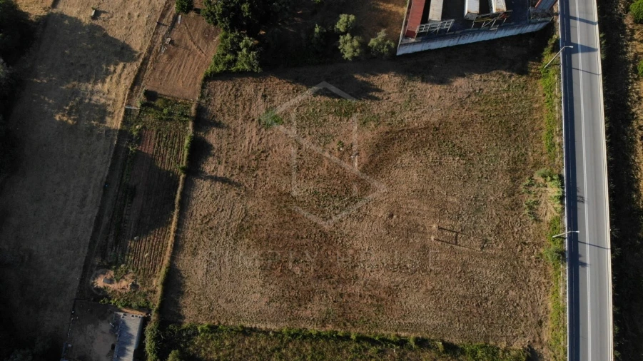 Terreno Agricola ou Rústico para Venda em Alcobertas Foto 3