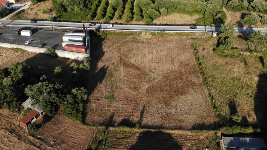 Terreno Agricola ou Rústico para Venda em Alcobertas Foto 8
