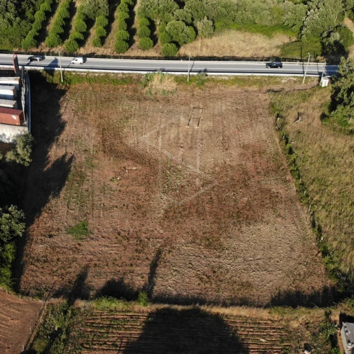 Terreno Agricola ou Rústico para Venda em Alcobertas Foto 13