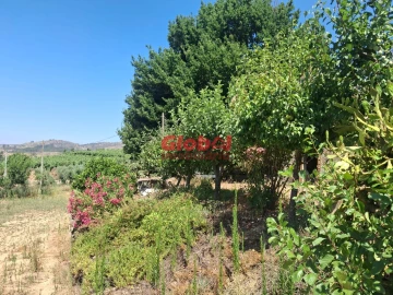 Quinta T0 para Venda em Castelo de Penalva