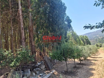 Quinta T0 para Venda em Castelo de Penalva