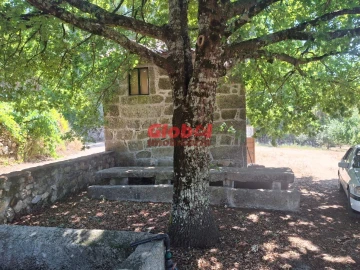 Quinta T0 para Venda em Castelo de Penalva