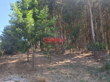 Quinta T0 para Venda em Castelo de Penalva
