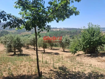 Quinta T0 para Venda em Castelo de Penalva