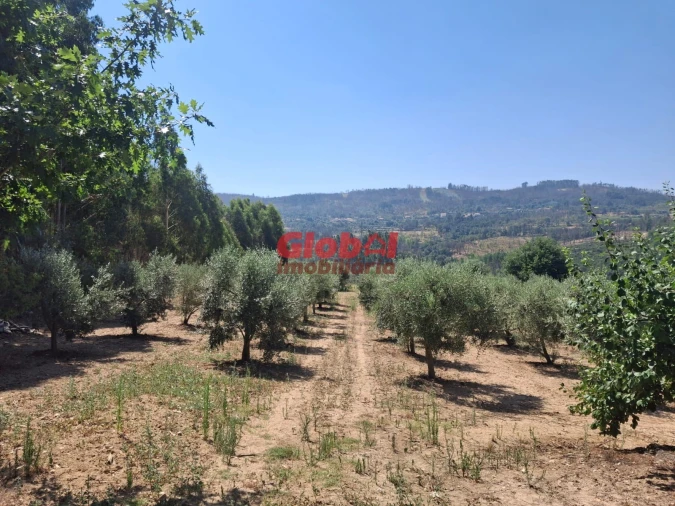 Quinta T0 para Venda em Castelo de Penalva Foto 17