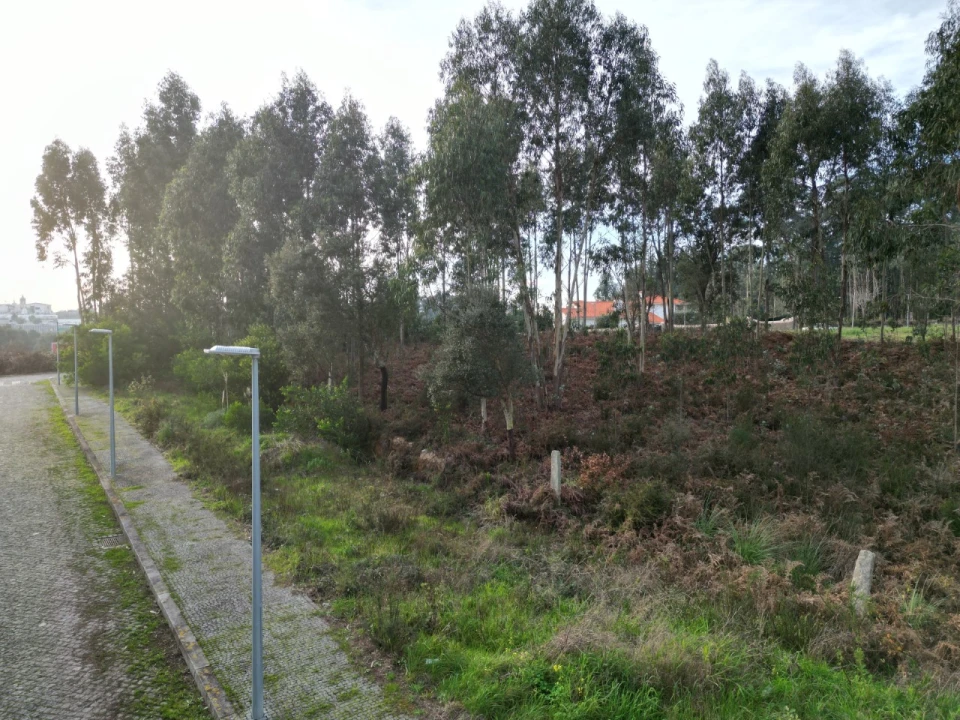 Terreno para Venda em Anta e Guetim Foto 7