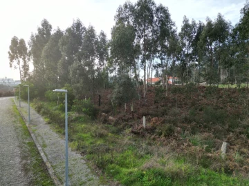 Terreno para Venda em Anta e Guetim