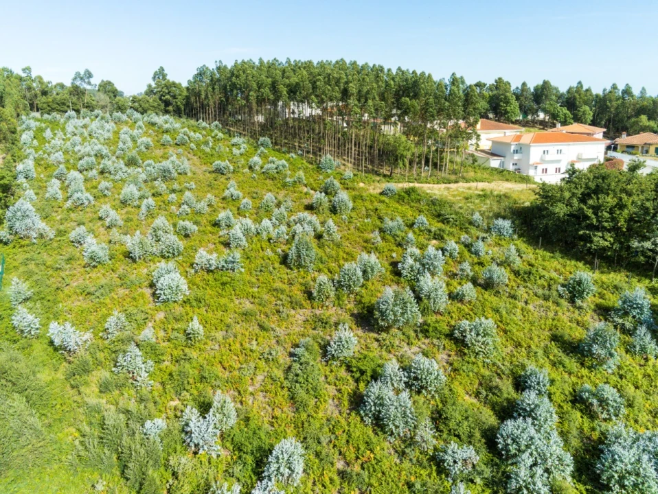 Terreno para Venda em Nogueira da Regedoura Foto 2
