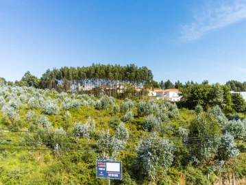 Terreno para Venda em Nogueira da Regedoura