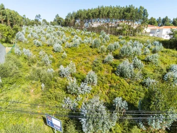 Terreno para Venda em Nogueira da Regedoura
