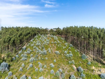 Terreno para Venda em Nogueira da Regedoura