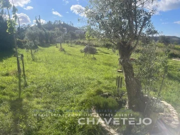 Moradia T4 para Venda em Miranda do Corvo