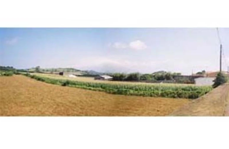 Terreno para Venda em Fajã de Cima Foto 2