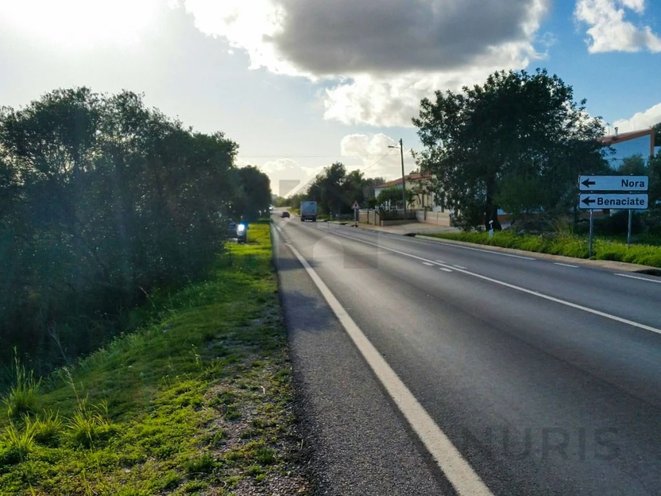 Terreno Agricola ou Rústico para Venda em São Bartolomeu de Messines Foto 2