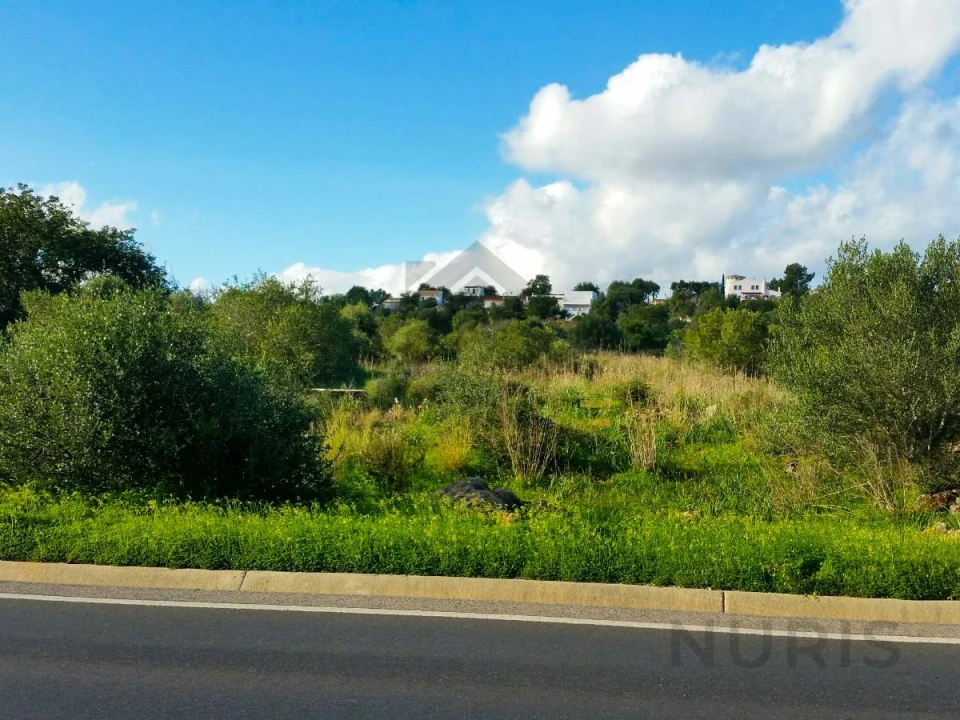 Terreno Agricola ou Rústico para Venda em São Bartolomeu de Messines Foto 6