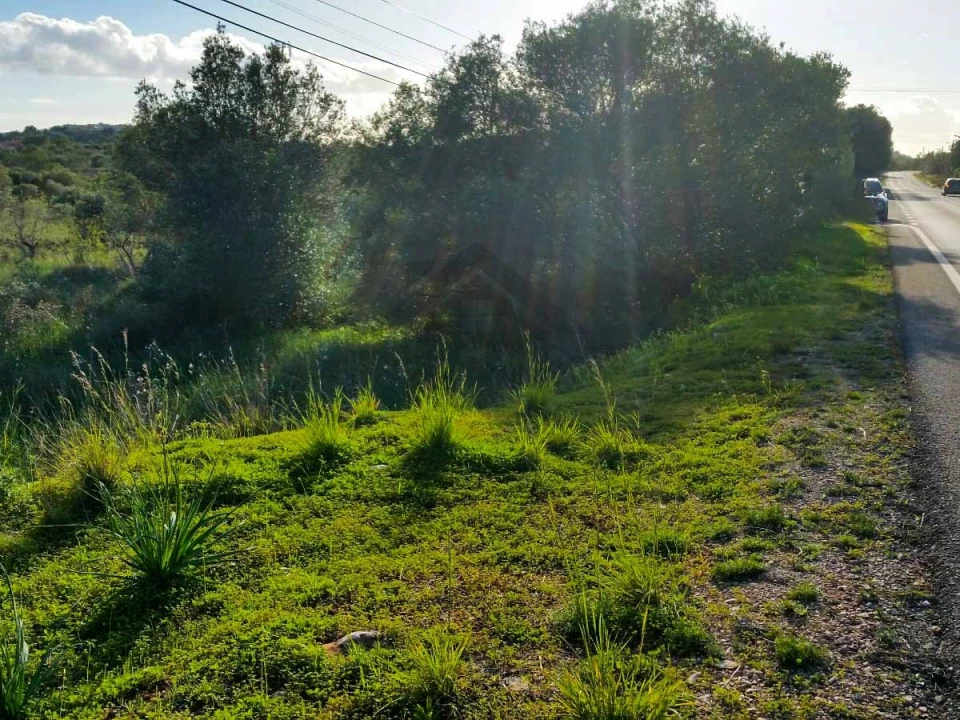Terreno Agricola ou Rústico para Venda em São Bartolomeu de Messines Foto 11