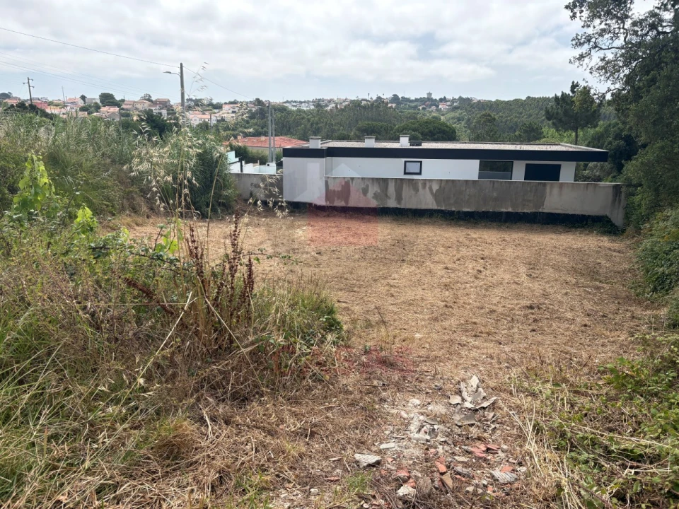 Terreno para Venda em Nadadouro Foto 2
