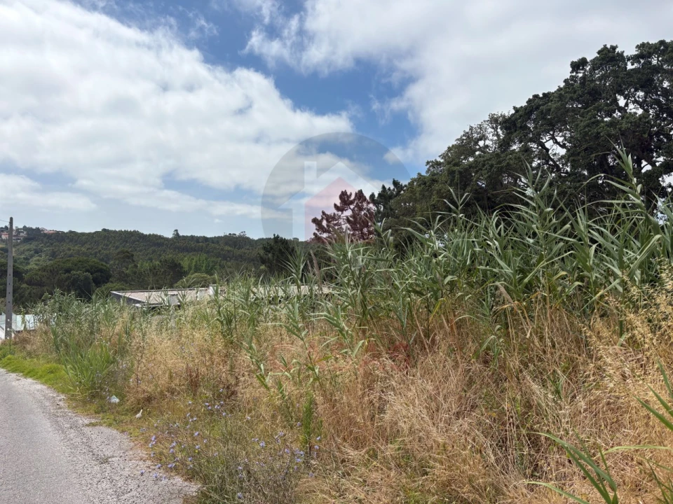 Terreno para Venda em Nadadouro Foto 4