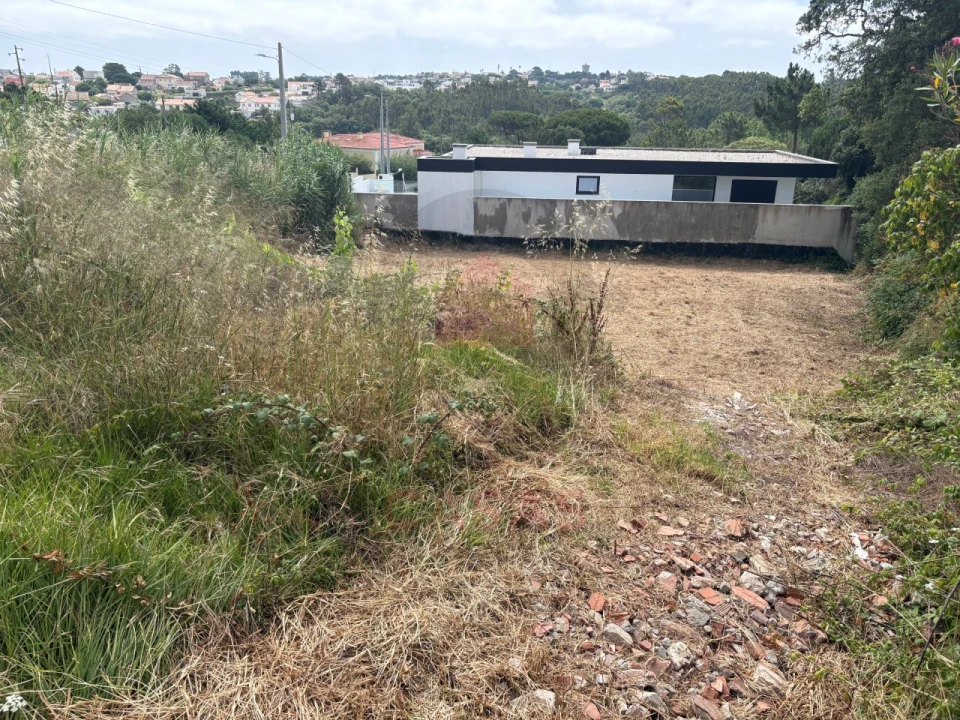 Terreno para Venda em Nadadouro Foto 5