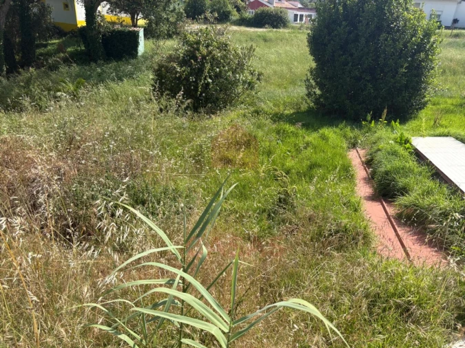 Terreno para Venda em Nadadouro Foto 3