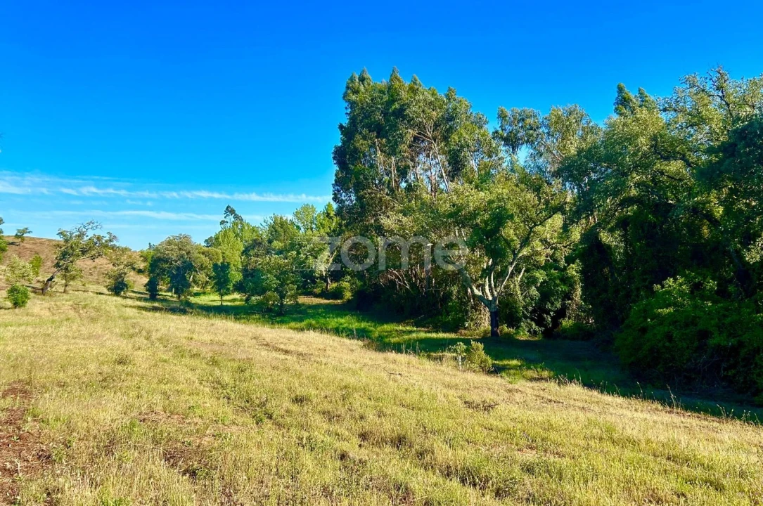 Terreno para Venda em Santiago do Cacém, Santa Cruz e São Bartolomeu da Serra Foto 3