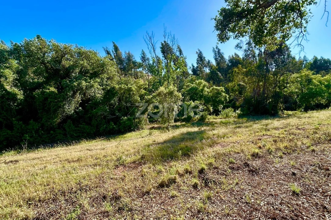 Terreno para Venda em Santiago do Cacém, Santa Cruz e São Bartolomeu da Serra Foto 4