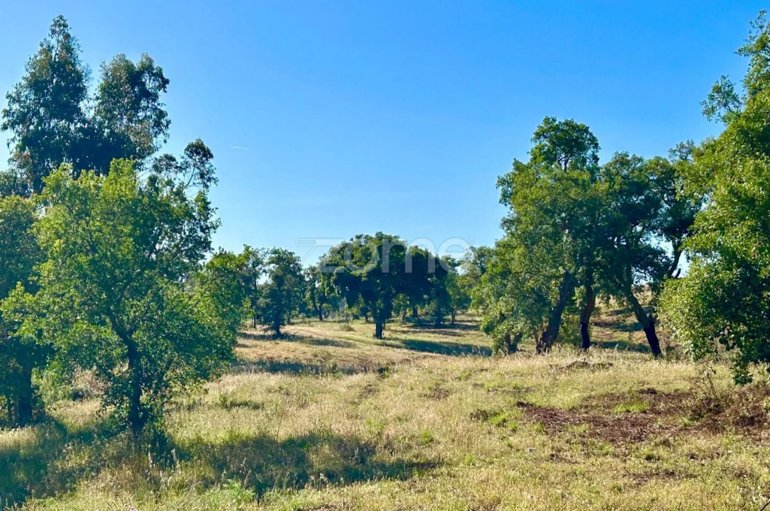 Terreno para Venda em Santiago do Cacém, Santa Cruz e São Bartolomeu da Serra Foto 5