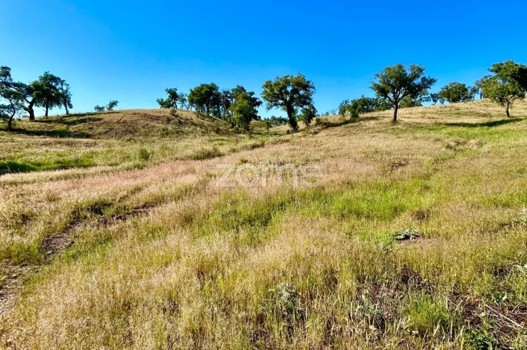 Terreno para Venda em Santiago do Cacém, Santa Cruz e São Bartolomeu da Serra Foto 11