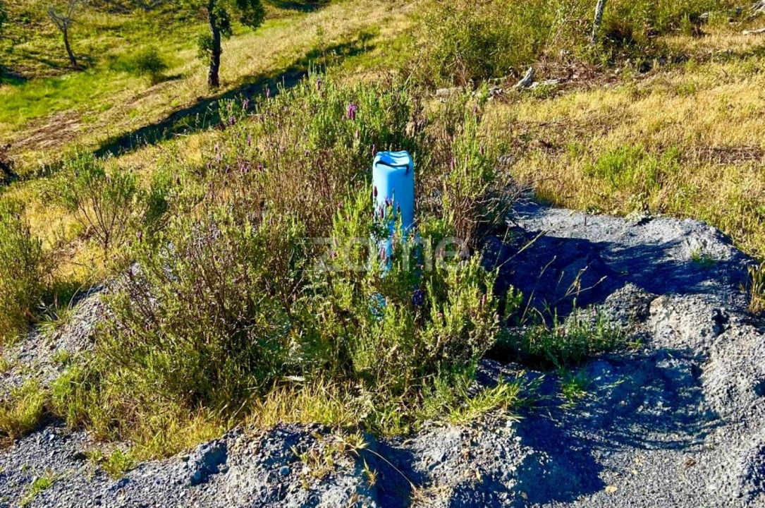 Terreno para Venda em Santiago do Cacém, Santa Cruz e São Bartolomeu da Serra Foto 13