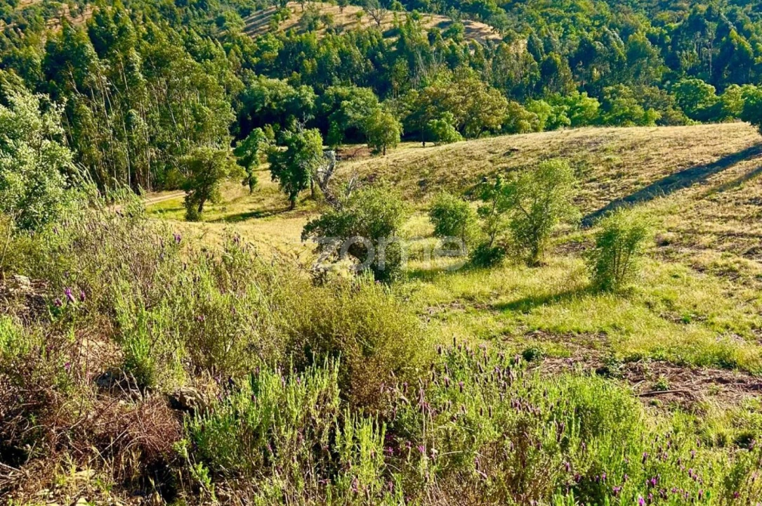 Terreno para Venda em Santiago do Cacém, Santa Cruz e São Bartolomeu da Serra Foto 16