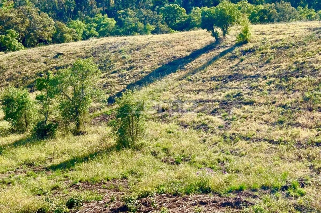 Terreno para Venda em Santiago do Cacém, Santa Cruz e São Bartolomeu da Serra Foto 15