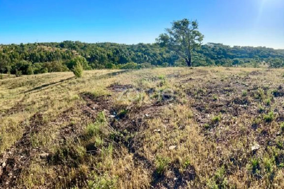 Terreno para Venda em Santiago do Cacém, Santa Cruz e São Bartolomeu da Serra Foto 1