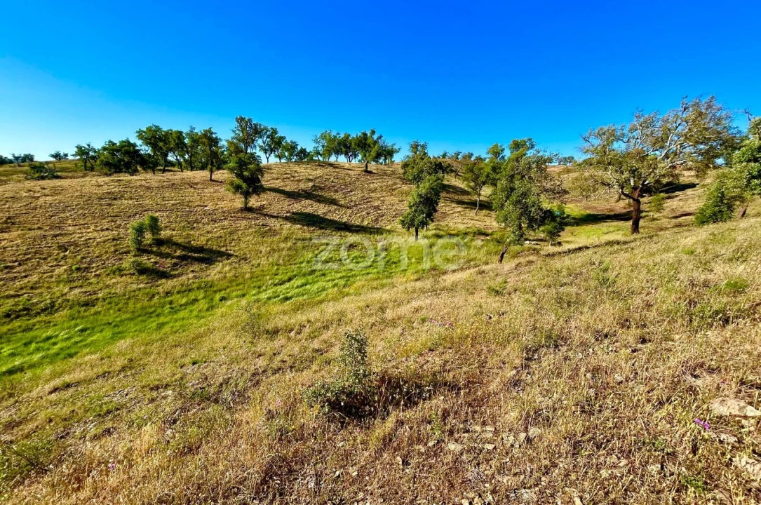 Terreno para Venda em Santiago do Cacém, Santa Cruz e São Bartolomeu da Serra Foto 18