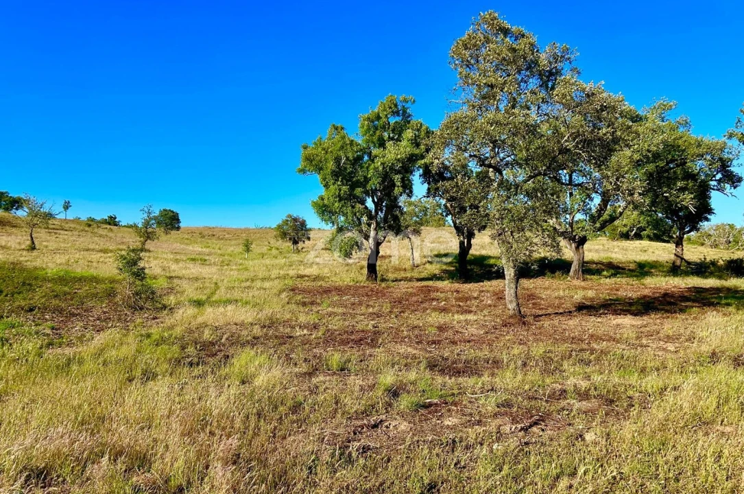 Terreno para Venda em Santiago do Cacém, Santa Cruz e São Bartolomeu da Serra Foto 26