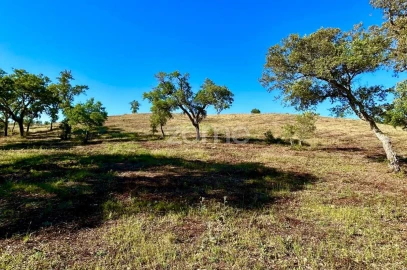 Terreno para Venda em Santiago do Cacém, Santa Cruz e São Bartolomeu da Serra