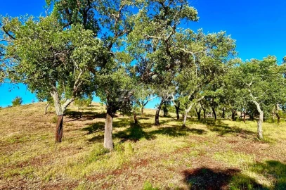 Terreno para Venda em Santiago do Cacém, Santa Cruz e São Bartolomeu da Serra