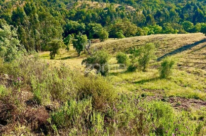 Terreno para Venda em Santiago do Cacém, Santa Cruz e São Bartolomeu da Serra