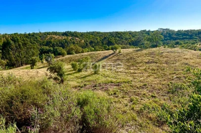 Terreno para Venda em Santiago do Cacém, Santa Cruz e São Bartolomeu da Serra
