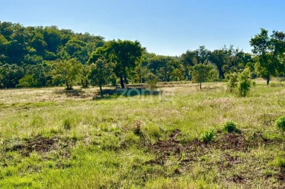 Terreno para Venda em Santiago do Cacém, Santa Cruz e São Bartolomeu da Serra