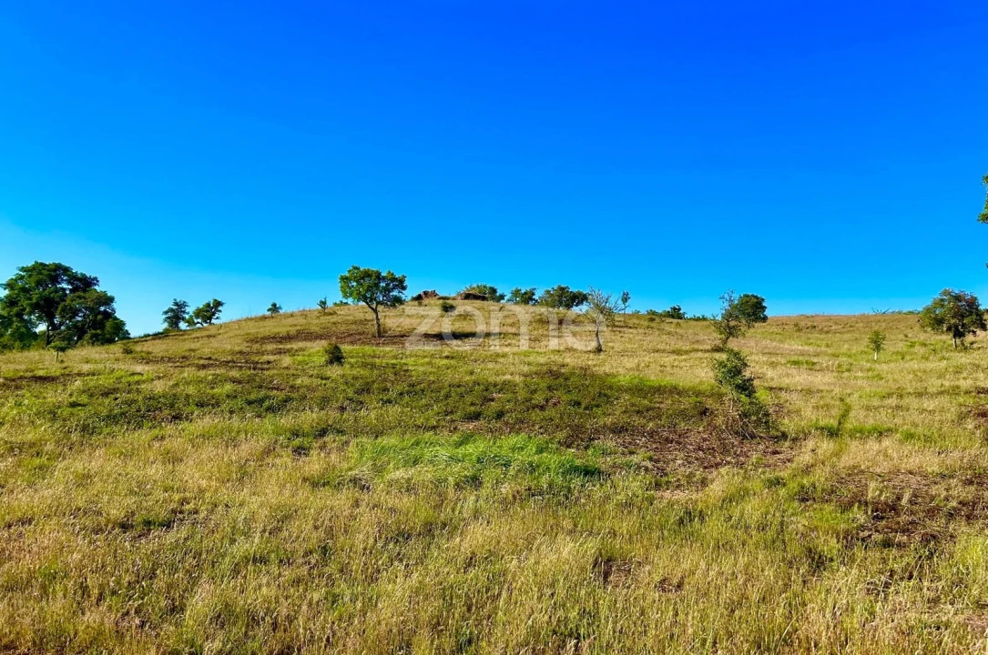 Terreno para Venda em Santiago do Cacém, Santa Cruz e São Bartolomeu da Serra Foto 19