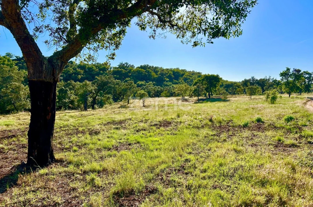Terreno para Venda em Santiago do Cacém, Santa Cruz e São Bartolomeu da Serra Foto 20