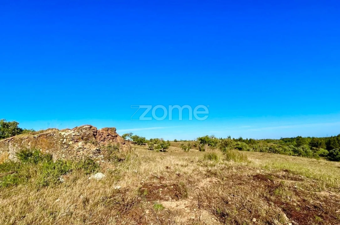 Terreno para Venda em Santiago do Cacém, Santa Cruz e São Bartolomeu da Serra Foto 23