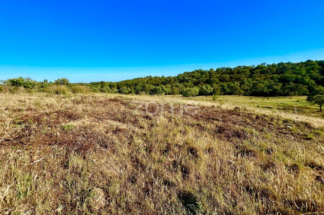 Terreno para Venda em Santiago do Cacém, Santa Cruz e São Bartolomeu da Serra Foto 24
