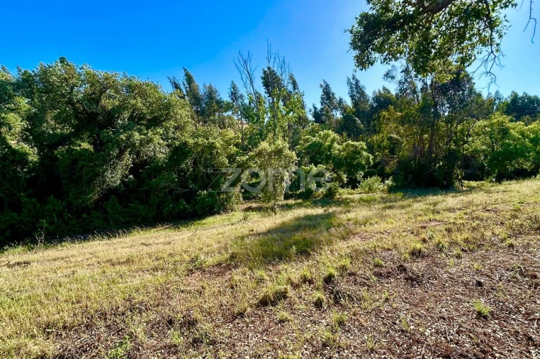 Terreno para Venda em Santiago do Cacém, Santa Cruz e São Bartolomeu da Serra Foto 4