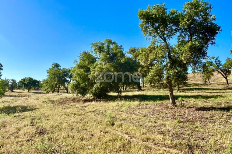 Terreno para Venda em Santiago do Cacém, Santa Cruz e São Bartolomeu da Serra Foto 6