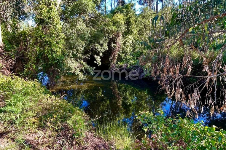 Terreno para Venda em Santiago do Cacém, Santa Cruz e São Bartolomeu da Serra Foto 7
