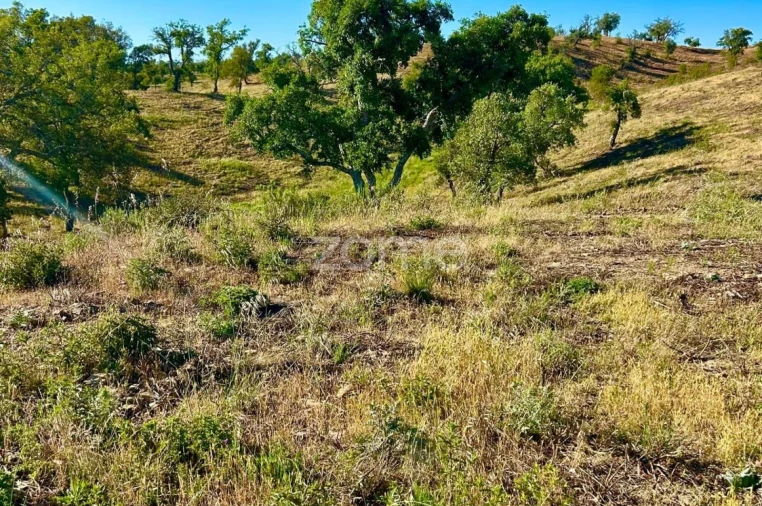 Terreno para Venda em Santiago do Cacém, Santa Cruz e São Bartolomeu da Serra Foto 14