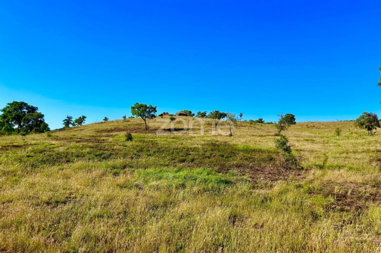 Terreno para Venda em Santiago do Cacém, Santa Cruz e São Bartolomeu da Serra Foto 19